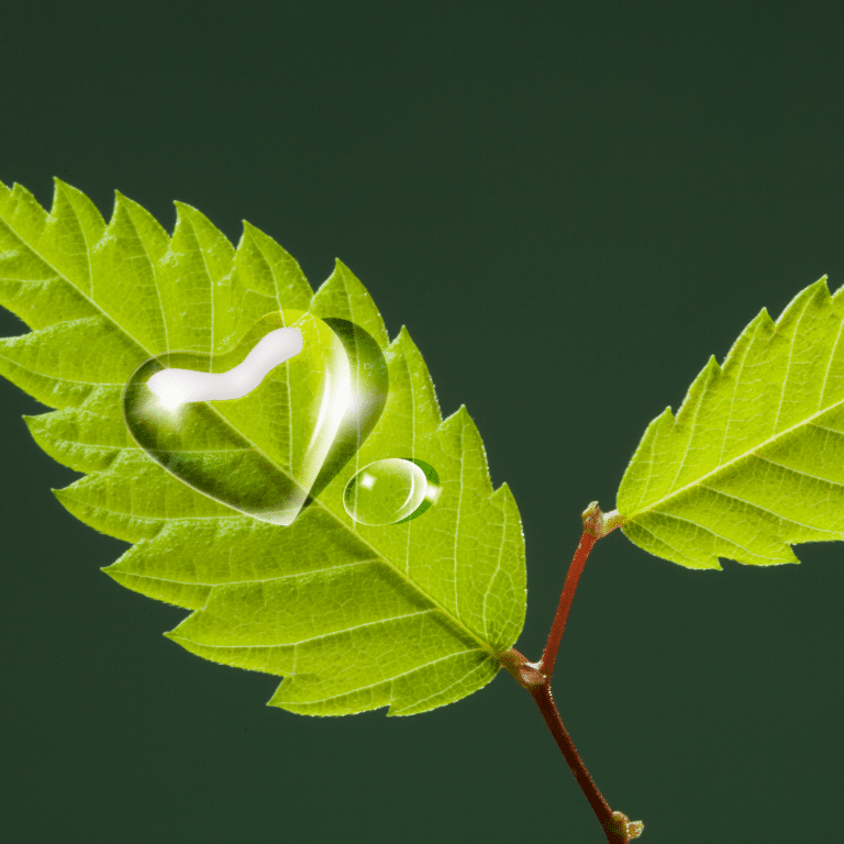 Echoes of the Heart