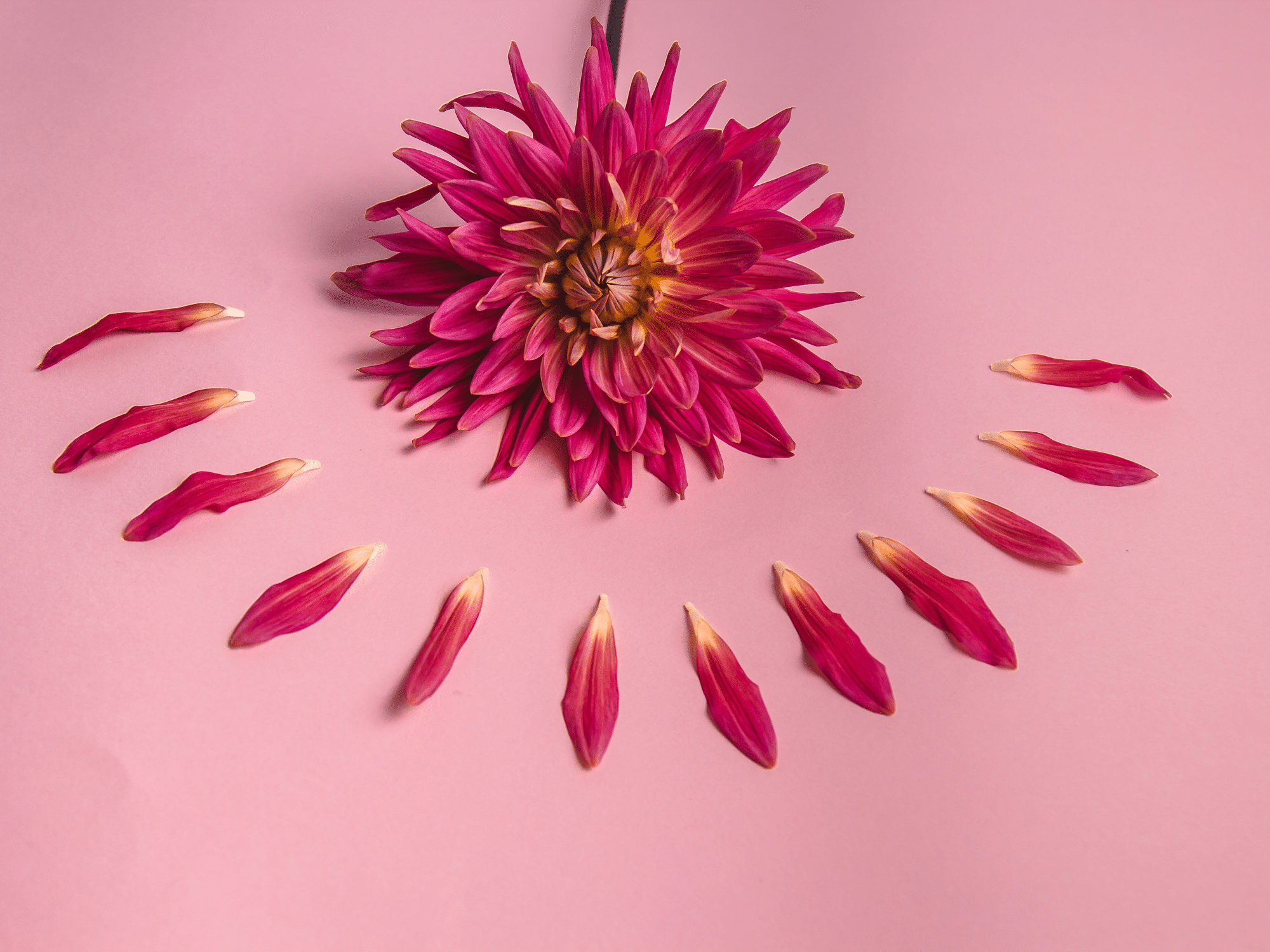 Navigating the Seasons of Change: An Empathetic Guide to Menopause